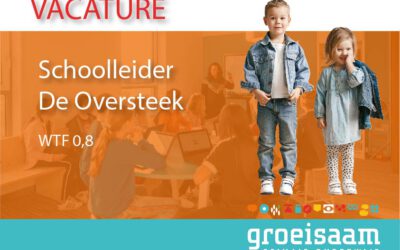 Schoolleider De Oversteek Dreumel (0,8 fte)