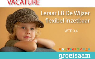 Leraar LB, OBS De Wijzer Beneden-Leeuwen, flexibel inzetbaar (0,4 fte)