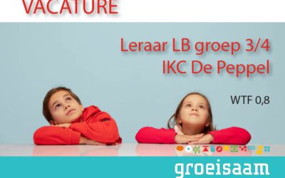 Leraar IKC De Peppel (0,8 fte)