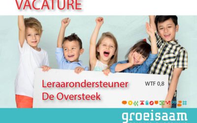 Leraarondersteuner De Oversteek (0,8 fte)