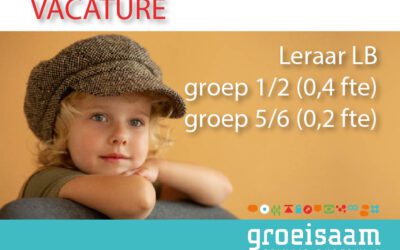 Leraar LB groep 1/2 De Laak (0,4 fte) en groep 5/6 (0,2)