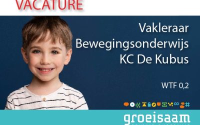 Vakleraar bewegingsonderwijs KC De Kubus