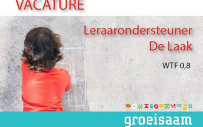Leraarondersteuner De Laak (0,8 fte)